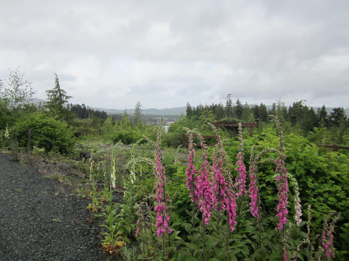 Hotel Ecoscape Cabins Port Hardy Exterior foto
