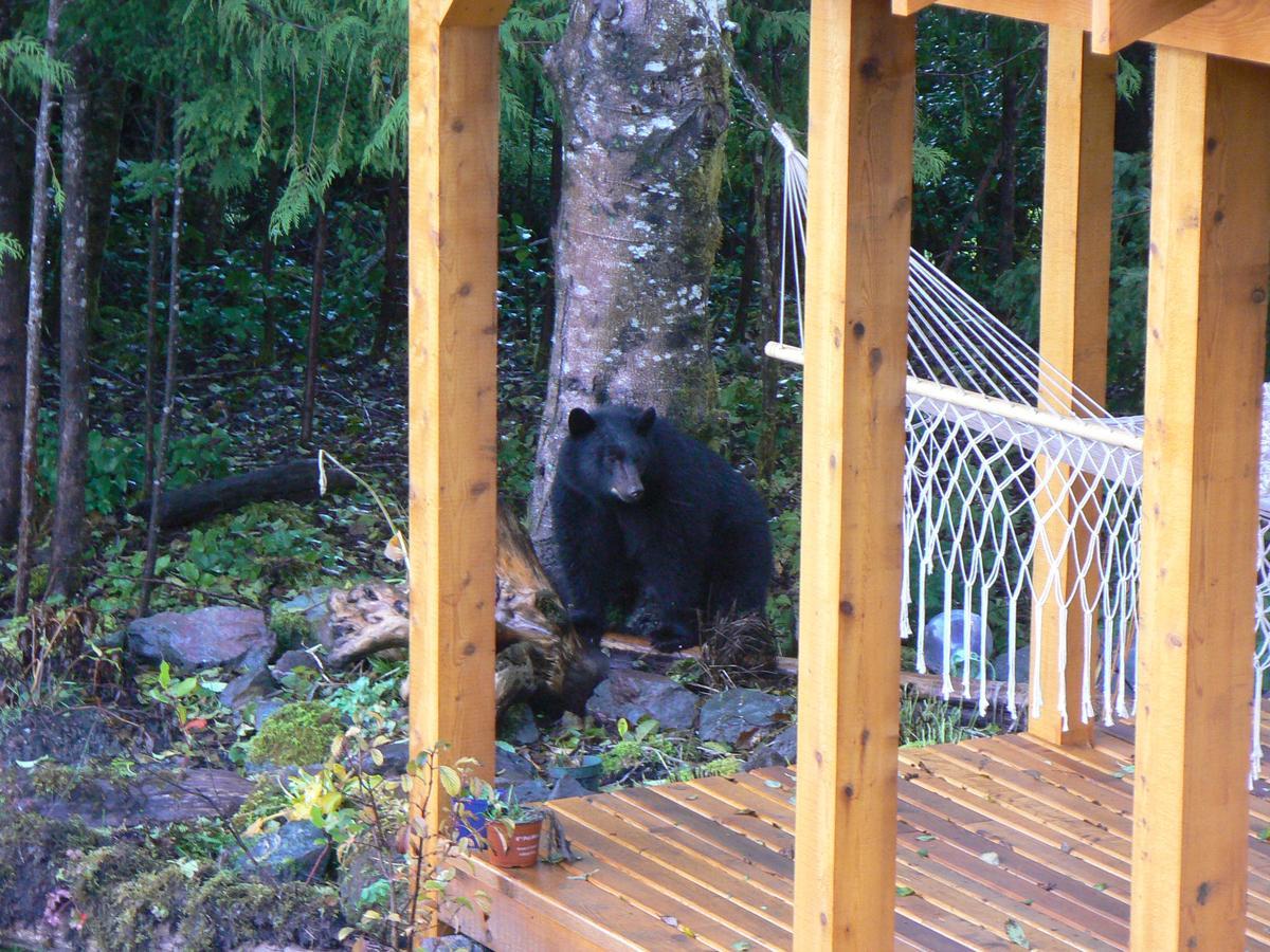 Hotel Ecoscape Cabins Port Hardy Exterior foto